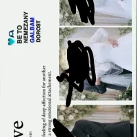 هدیه خوبو اقتصادی|تابلو، نقاشی، عکس|تربتحیدریه, فردوسی جنوبی|دیوار