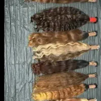 سیار هستم خانم صفریم لطفا عکس با شماره تلفن بفرست