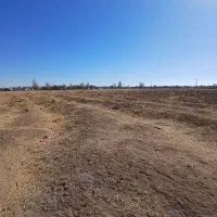 زمین|فروش زمین و ملک کلنگی|درگزین, |دیوار