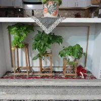 میز جزیزه|مبلمان خانگی و میز عسلی|فردوس (خراسان), |دیوار