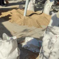 برنج چمپا میداوود|خوردنی و آشامیدنی|میانکوه, |دیوار