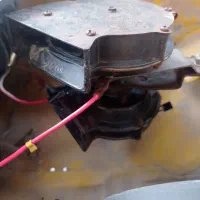 بوق کاپریسی