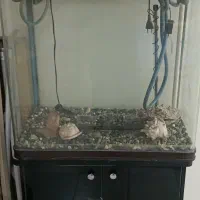 اکواریوم ماهیران شیشه خم