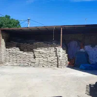 مصالح ساختمانی تحویل در محل|مصالح و تجهیزات ساختمان|کوهدشت, |دیوار