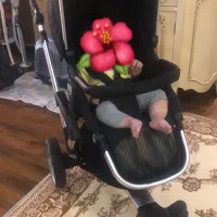 کالسکه Hanim baby