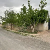 زمین باغی شهرک پیغمبر رباط کریم به شهریار|فروش زمین و ملک کلنگی|رباطکریم, پیغمبر|دیوار