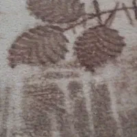 موکت|موکت|تربت جام, معدآباد|دیوار