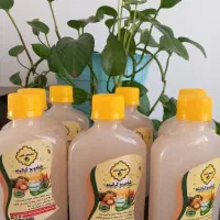 تولید کننده شامپو گیاهی