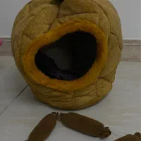 وسایل گربه|لوازم جانبی حیوانات|قزوین, |دیوار