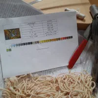 تابلو فرش دارچوبک نیمه بافته به همراه وسایل بافت|تابلو فرش|دزفول, |دیوار