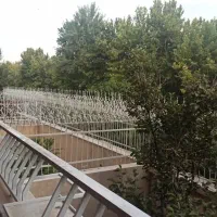 5-رو-پیلوت-ویو-جنگلی-زیر-قیمت-واقعی