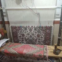 دو عد فررش دست بافت|فرش|کرج, کوی کارمندان شمالی|دیوار