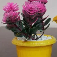 گل مصنوعی|گل مصنوعی|کرج, کیانمهر|دیوار