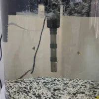 اکواریوم یا وسایل|ماهی|اهواز, ۳۰ متری|دیوار