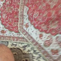 رو میزی|روفرشی|اصفهان, پرتمان|دیوار