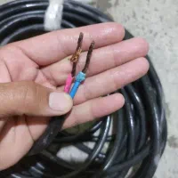 سیم کابل مسی|مصالح و تجهیزات ساختمان|پیرانشهر, |دیوار