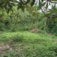 فروش زمین ۵۳۰ متری|فروش زمین و ملک کلنگی|سنگر, |دیوار