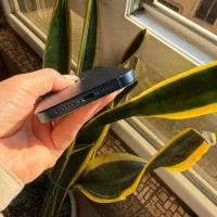 15 پرومکس 256 بدون رجیستری|موبایل|تهران, جمال‌زاده|دیوار