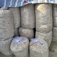 تفاله چغندر