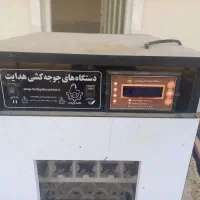 یک دستگاه جوجه کشی درحدنو