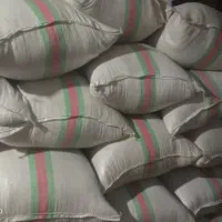 شالی دمسیاه