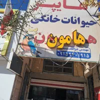 پت شاپ و هایپرخوراک و ملزومات حیوانات خانگی