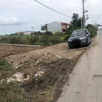 زمین ساحلی ۱۹۹متری ( ۱۵۰میلیون پیش)