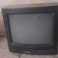 سینی وتلوزیون|تلویزیون و پروژکتور|سنندج, |دیوار