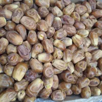 قصبک تازه