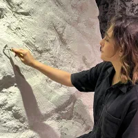 مجری پتینه و میکروسمنت