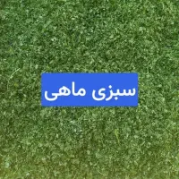 سبزی خشک رامهرمز