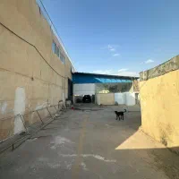 اجاره مغازه ۵۰۰ متری در گویم|اجارهٔ مغازه و غرفه|شیراز, گویم|دیوار