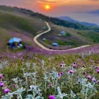 تور و کمپ طبیعت گردی