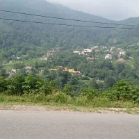 زمین مسکونی پل سفید