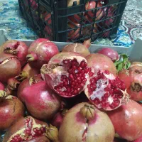 انار  خطی وابگیری واب انار