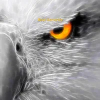 تکنسین ساختمان ، و امنیت ساختمان د محل. دوربین