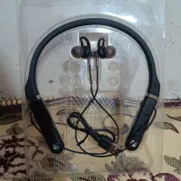 اندسفری گردنی