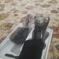 فلبیس اصلی هلند