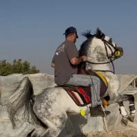 نریان شش دنگ