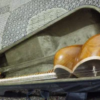 تار سنتی دومهر ویژه