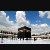 دو عدد فیش مکه واجب