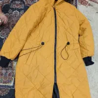 کاپشن خردلی