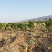 فروش باغچه 3500متری واقع در شبانکاره میمند|فروش زمین و ملک کلنگی|شیراز, عادل آباد|دیوار