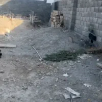زمین سند تک برگ