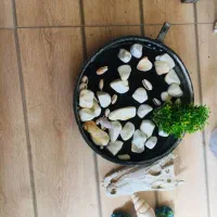 لوازم آکواریوم