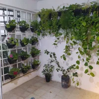 کاروخدمات