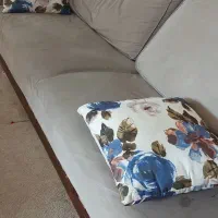 مبل راحتی ۷ نفره -فوری|مبلمان خانگی و میز عسلی|تهران, علم و صنعت|دیوار