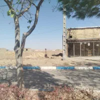 نیم قطعه زمین نبش بلوار وحدت مشهد ریزه