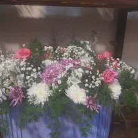 گلدان نیمه طبیعی|گل و گیاه طبیعی|تهران, وردآورد|دیوار