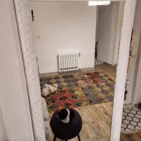 اینه قدی دو عدد ۱۸۰*۸۷